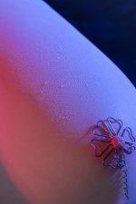 Muse III: 7.24kg Juguetes Sexuales de Silicona Ultrasuave con Senos Enormes - Imagen 14
